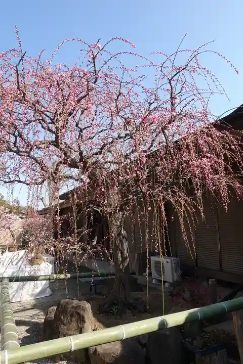 菅原天満宮(菅原神社)(奈良県)
