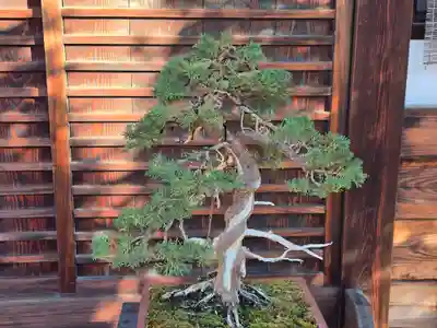 法徳寺(奈良県)