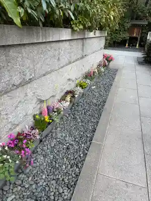 東京大神宮(東京都)