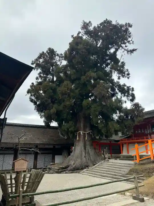 春日大社(奈良県)