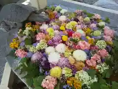 杉杜白髭神社の手水