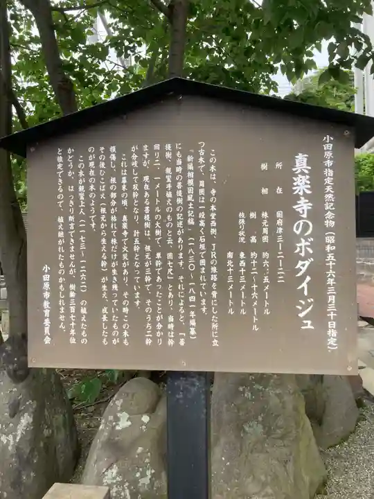 真楽寺(神奈川県)