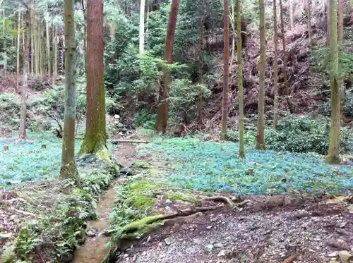 日吉大社の自然