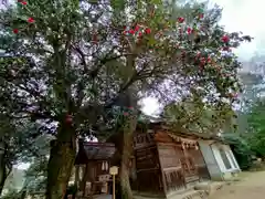 玉作湯神社(島根県)