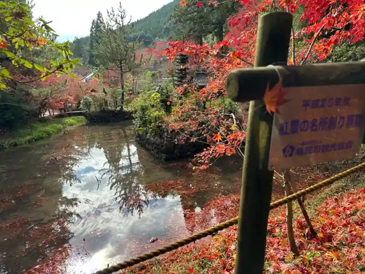 鍬山神社(京都府)