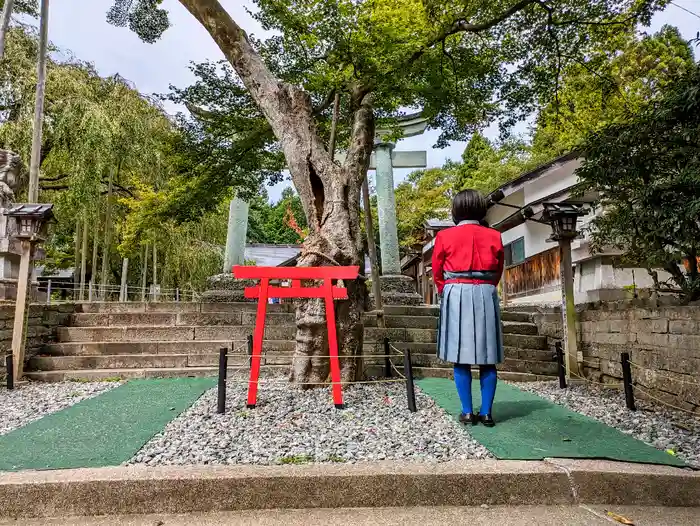 足羽神社の鳥居