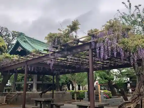 祐天寺の庭園