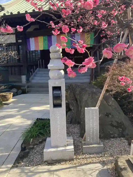 薬師院(神奈川県)