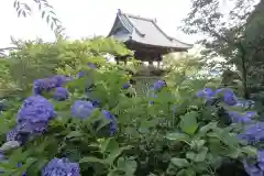 楽法寺（雨引観音）の建物その他