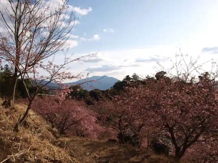 楽法寺(雨引観音)の景色