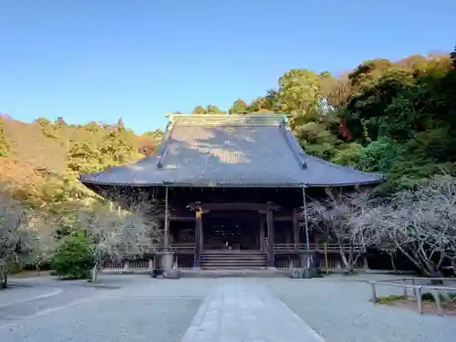 妙本寺(神奈川県)