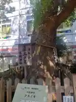 大枝神社(大阪府)