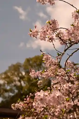 佛通寺(広島県)