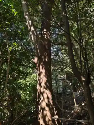 冨塚八幡宮(神奈川県)