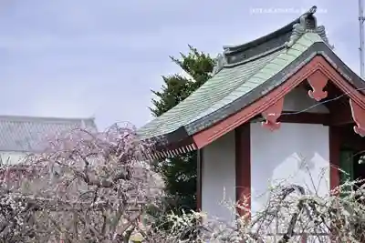 亀戸天神社(東京都)