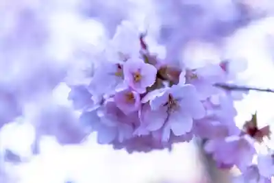新城藤原神社(長野県)