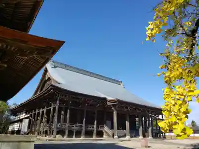 勝興寺の本殿・本堂
