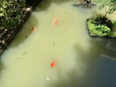 厳島神社(東京都)