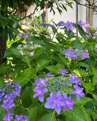 松本山 地福禅寺(滋賀県)