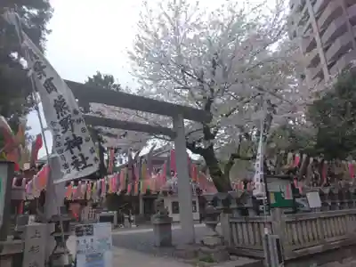 くまくま神社(導きの社 熊野町熊野神社)(東京都)