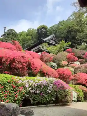 等覚院(神奈川県)