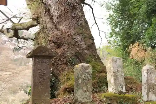 観音寺の塔