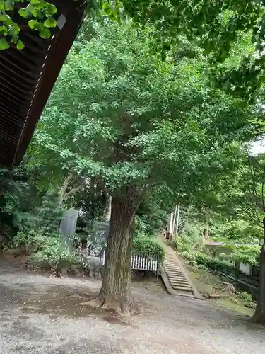 弥生神社の自然
