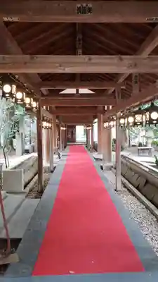 川越氷川神社(埼玉県)