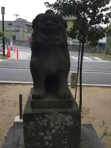 葛飾八幡宮の狛犬