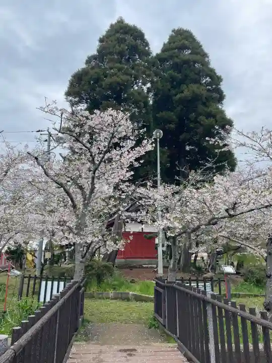 厳島神社 谷弁財天の{uncategorized: "未分類", other: "その他", undefined: "問題あり", building: "その他建物", grave: "お墓", sacred_gate: "鳥居", guardian: "狛犬", statue: "像", buddha: "仏像", history: "歴史", nature: "自然", garden: "庭園", animal: "動物", pagoda: "塔", temizu: "手水舎", mountain_gate: "山門・神門", sanctuary: "本殿・本堂", subordinate: "末社・摂社", art: "芸術", scenery: "景色", jizo: "地蔵", ema: "絵馬", goshuin: "御朱印", omikuji: "おみくじ", items: "授与品その他", amulet: "お守り", goshuincho: "御朱印帳", eats: "食事", festival: "お祭り", votive_dance: "神楽", shichigosan: "七五三参", wedding: "結婚式", experience: "体験その他", initially: "初詣", around: "周辺", anti_infection: "感染症対策"}