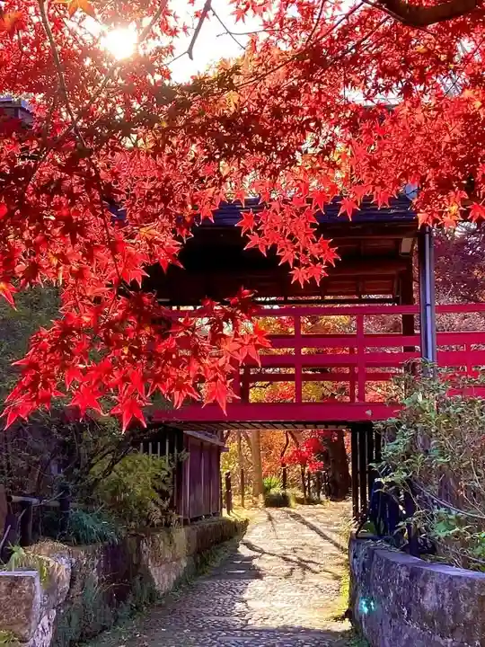 本土寺(千葉県)