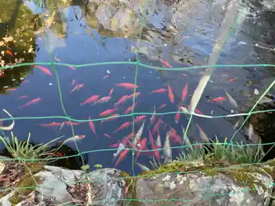 惠心院(京都府)