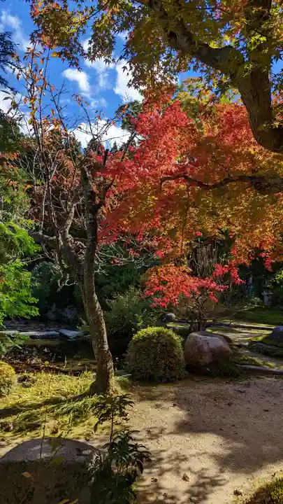 実光院(京都府)