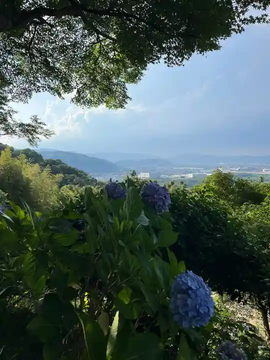 石清水八幡宮(京都府)