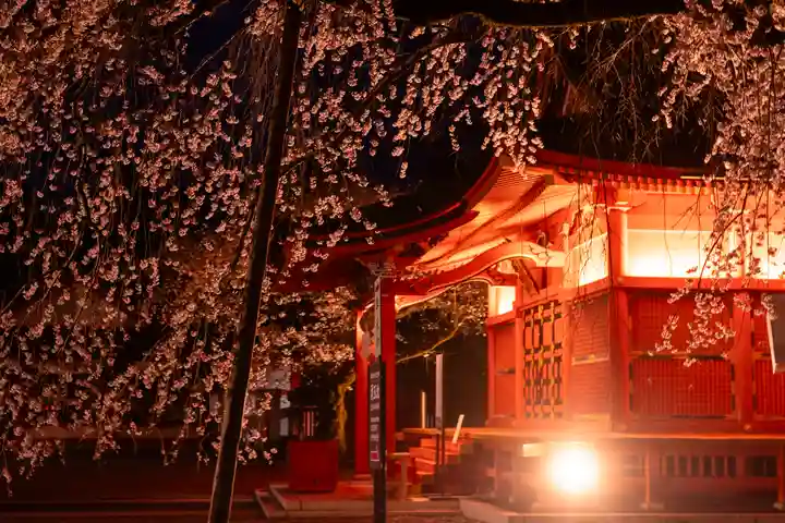 富士山本宮浅間大社(静岡県)