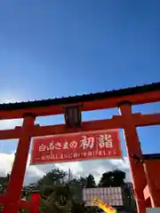 白山神社(新潟県)