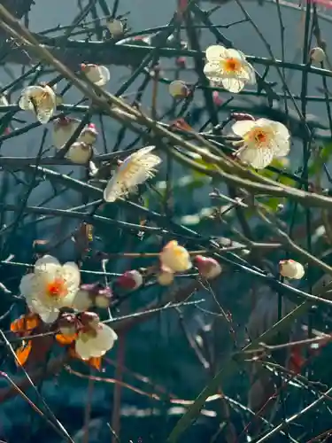 大蓮寺(京都府)