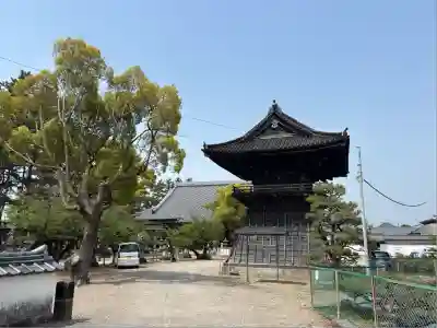 大樹寺（松安院大樹寺）(愛知県)