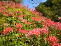 仏隆寺(奈良県)