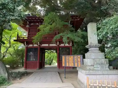 本土寺(千葉県)