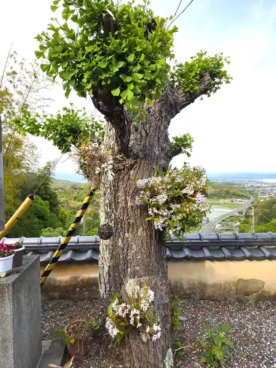 禅師峰寺(高知県)