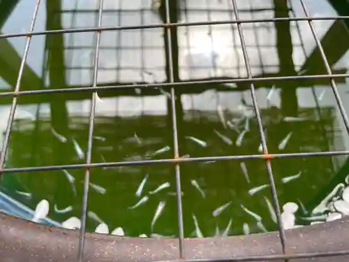 観音寺(福岡県)