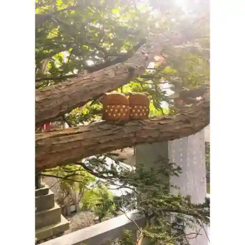 彌彦神社　(伊夜日子神社)の自然