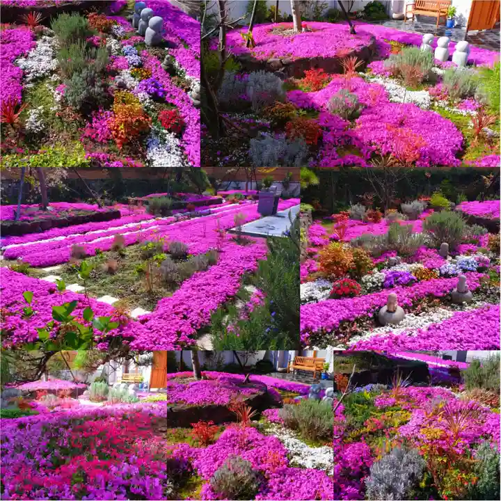 寿量山 速成寺(奈良県)