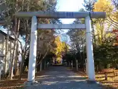 深川神社の鳥居