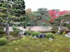 天得院(京都府)