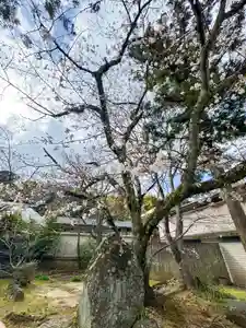 伊勢の国 四天王寺(三重県)(2025年03月31日(月) 18時11分42秒投稿)