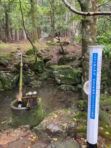 若狭彦神社（上社）(福井県)