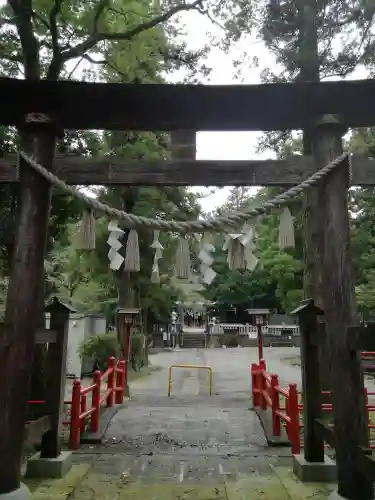 安房神社の鳥居
