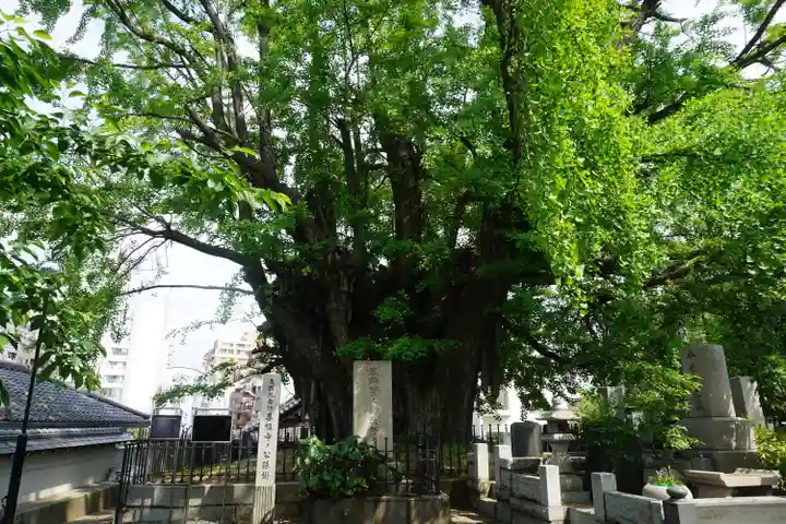 善福寺のその他建物